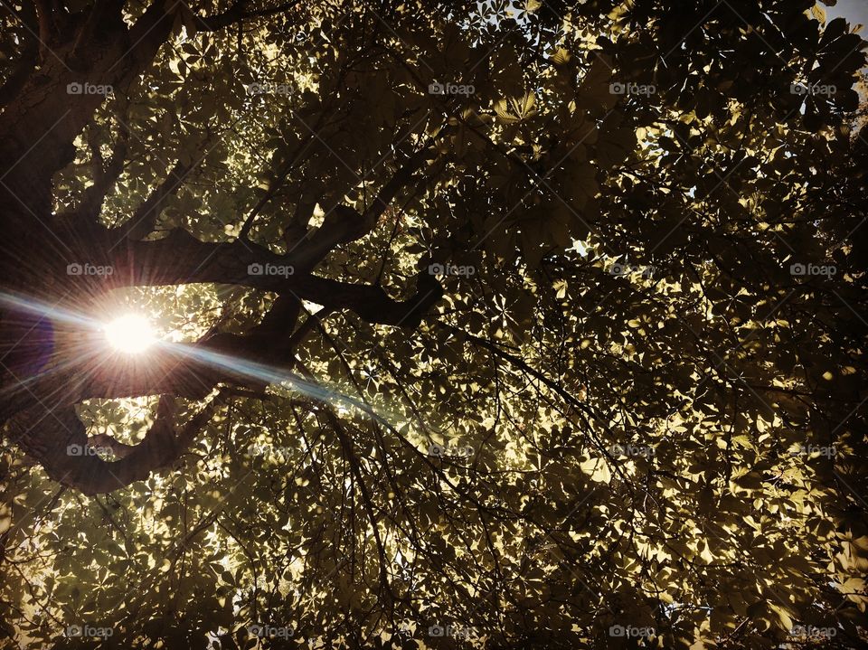 The light is always there.