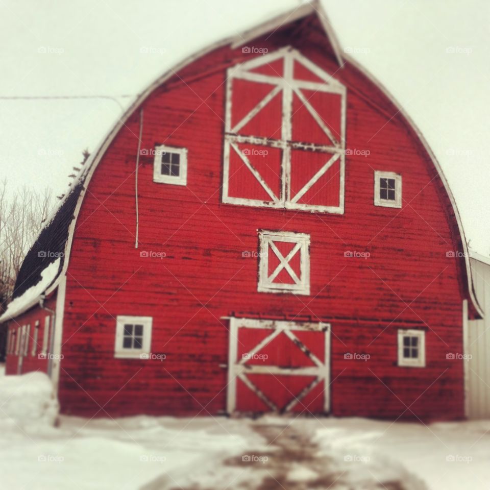 Barn in rural Alberta, Canada. Red barn