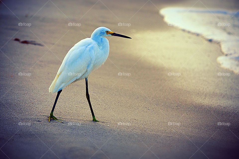 Every little thing is gonna be alright!