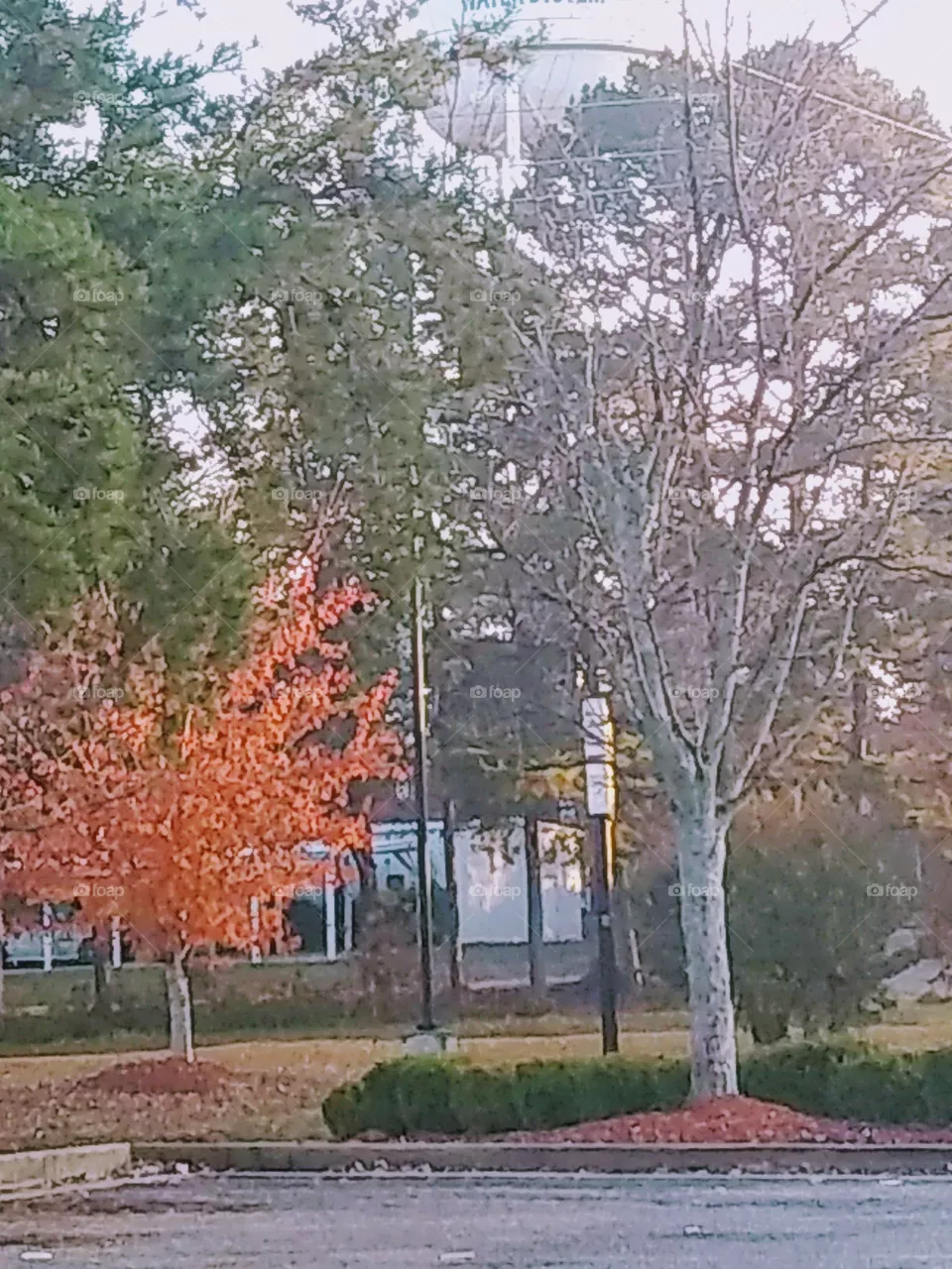 fall