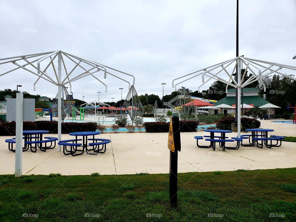 sunny versus fall who is a winner?