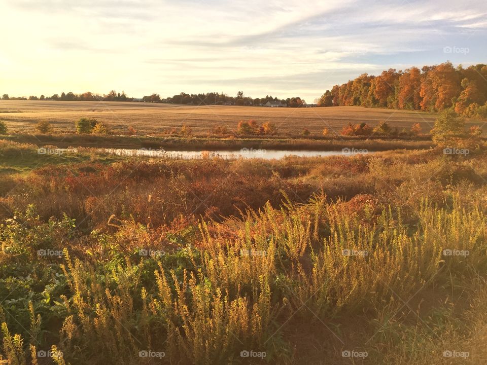Fall countryside 