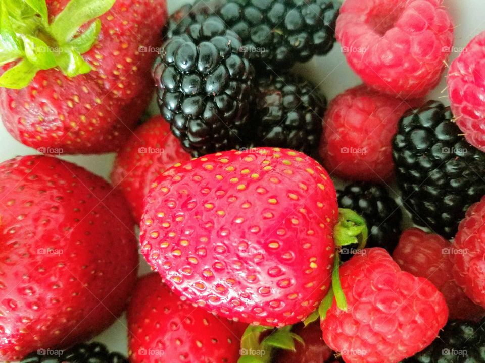 Juicy Summer Berries