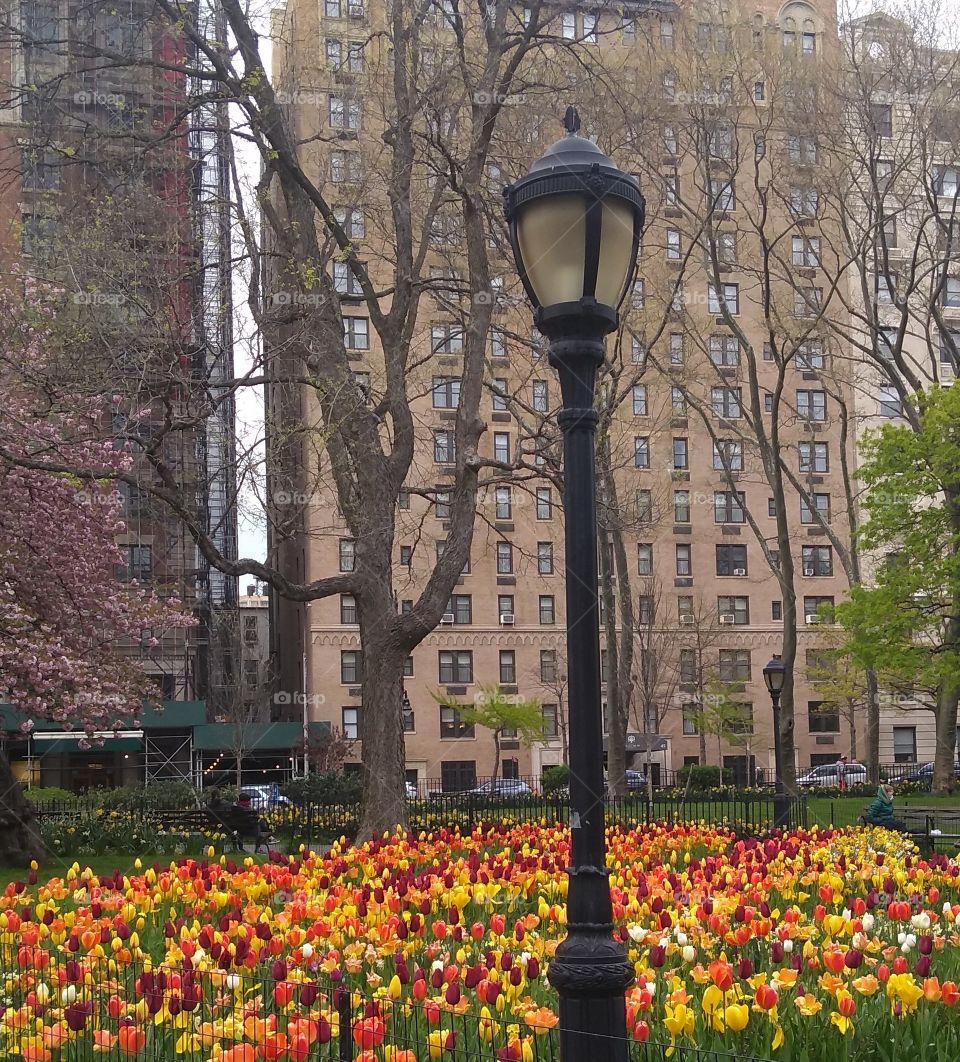 Spring NYC Park