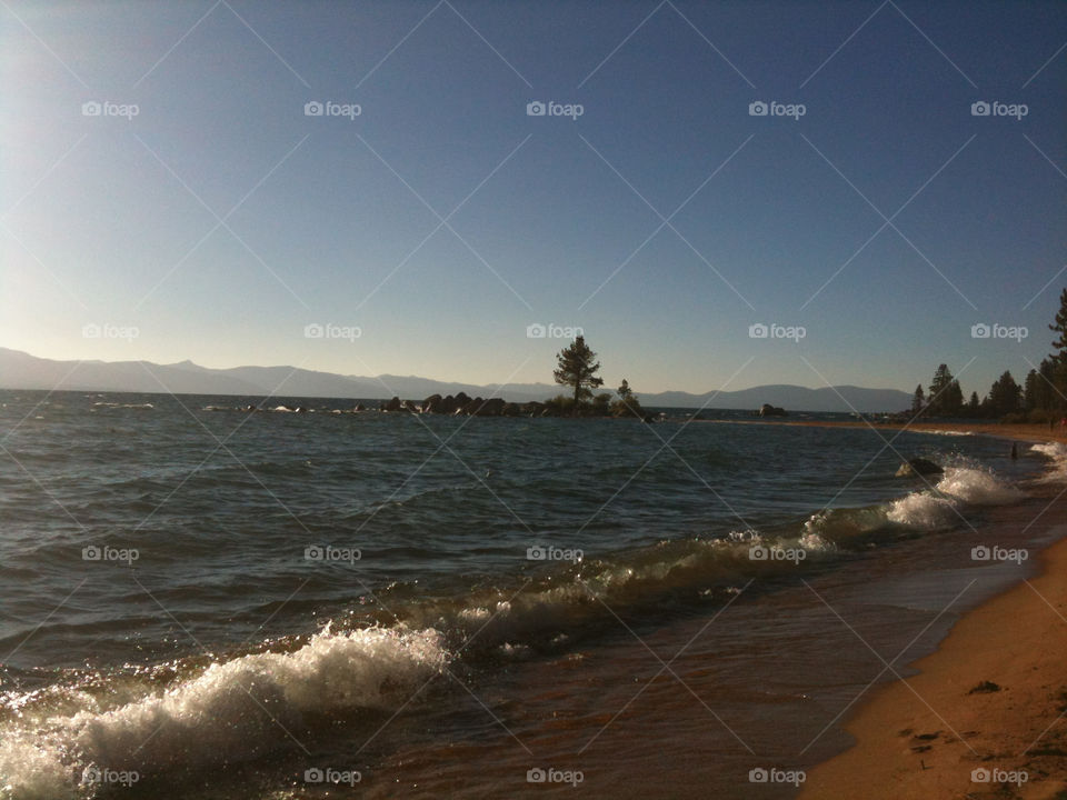 beach tree water sand by melody