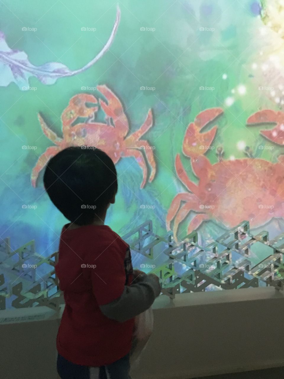 Crab art and a boy