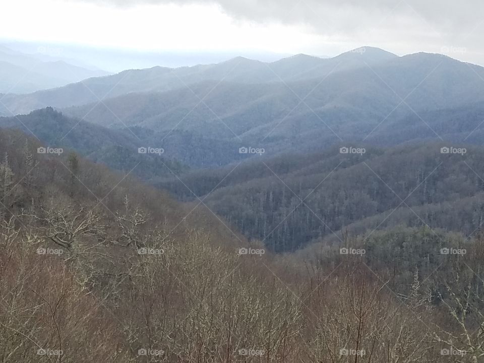 Valley in the Smoky Mountains