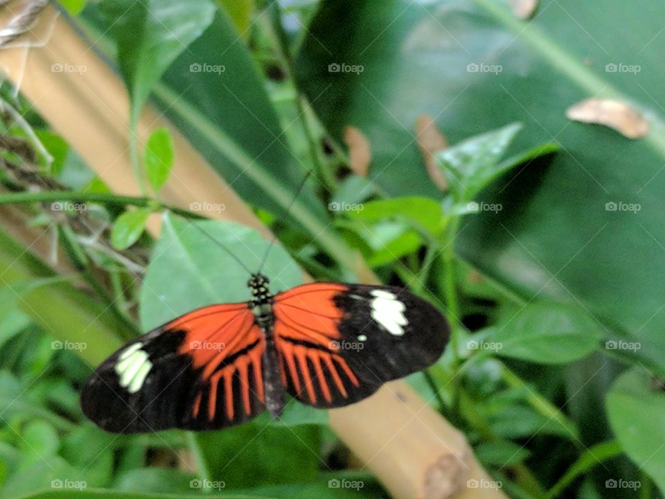 colorful close up