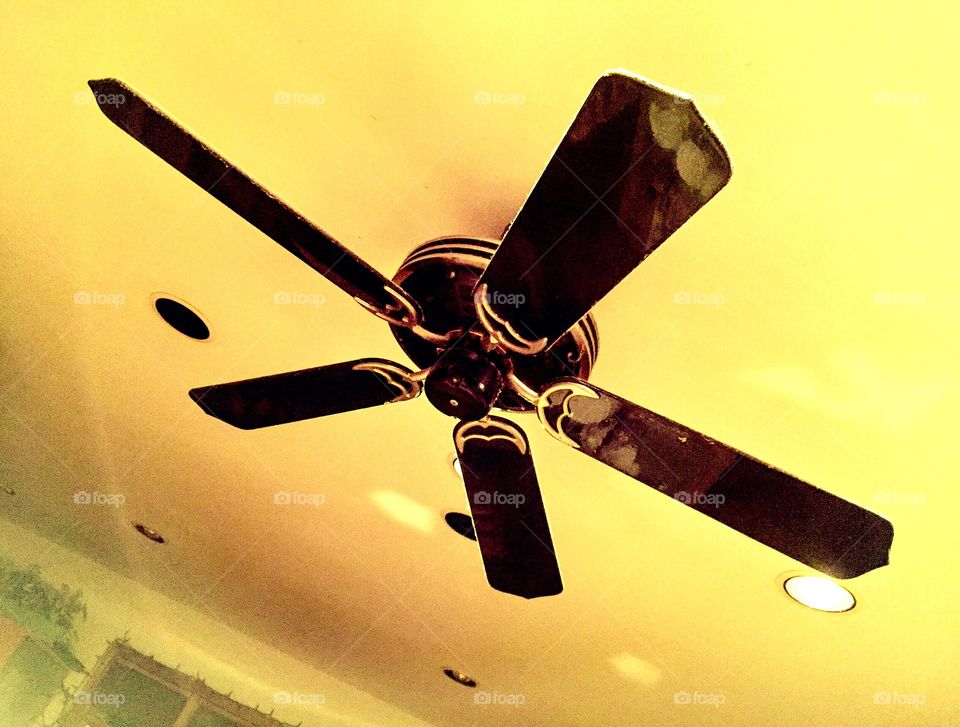 Ceiling fan 