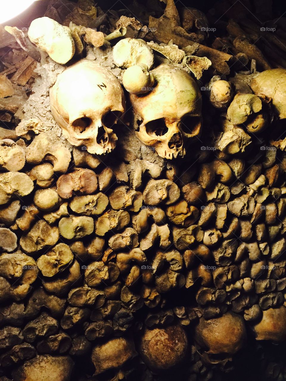 Skulls - Catacombs - Paris 
