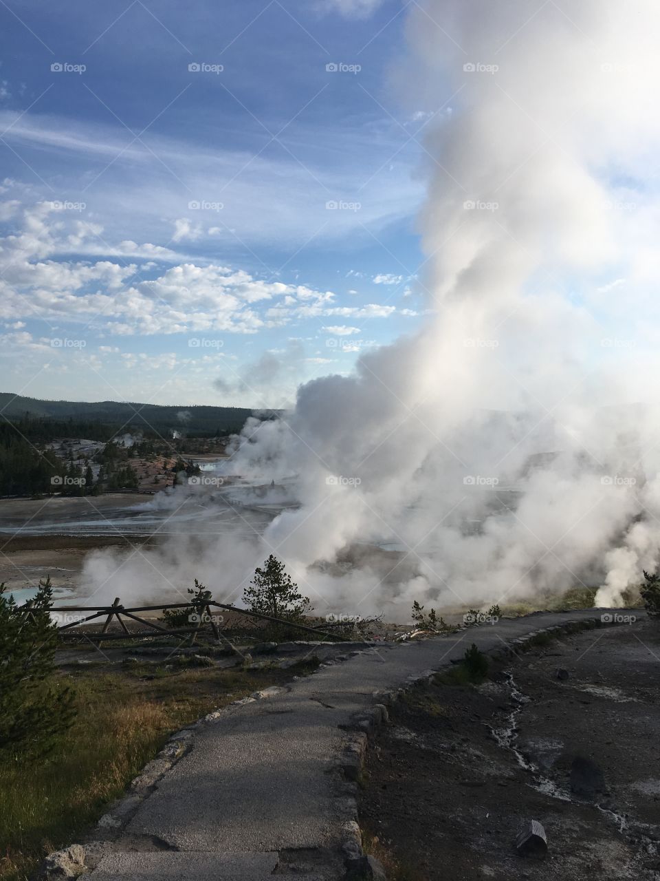 Steaming Geyser in the early morning sun, Yellowstone National Park, USA