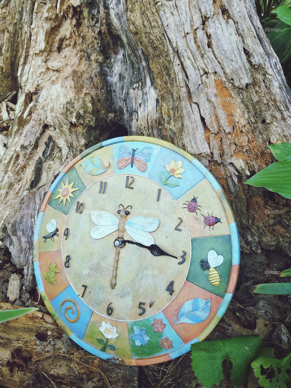 A clock leans against a tree stump