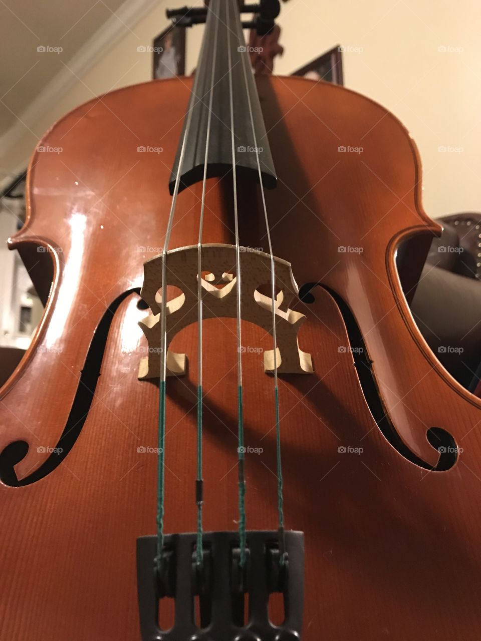 Cello strings
