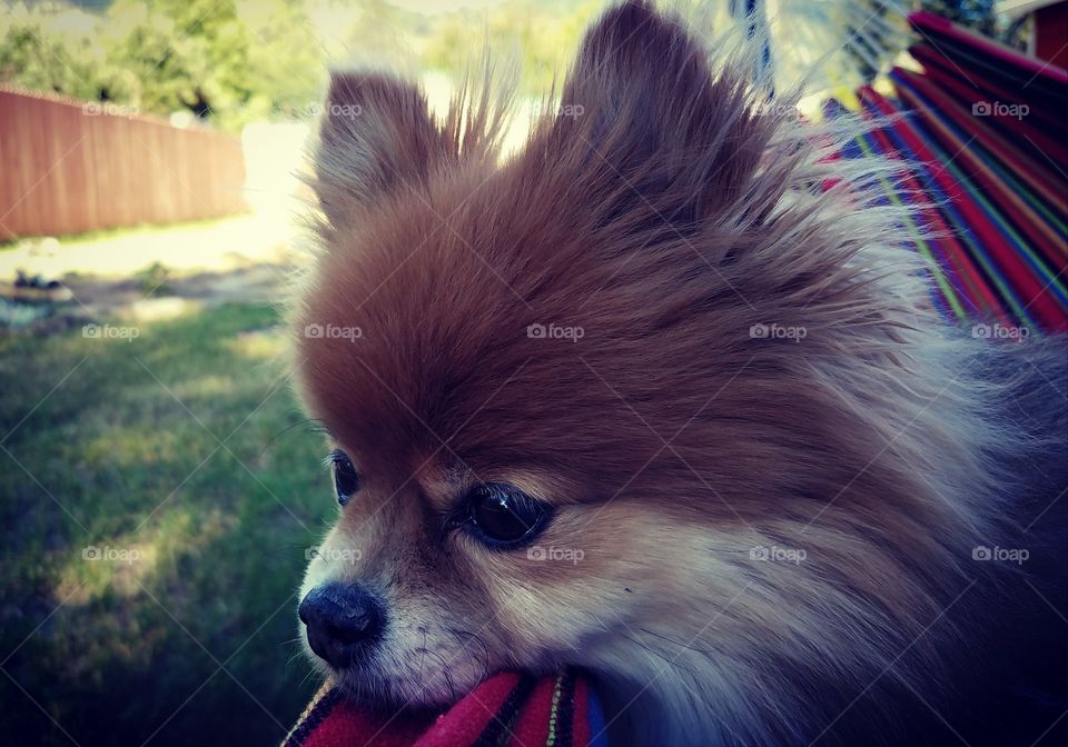 Wishin' and hopin' and thinkin' and prayin' for some of that bbq