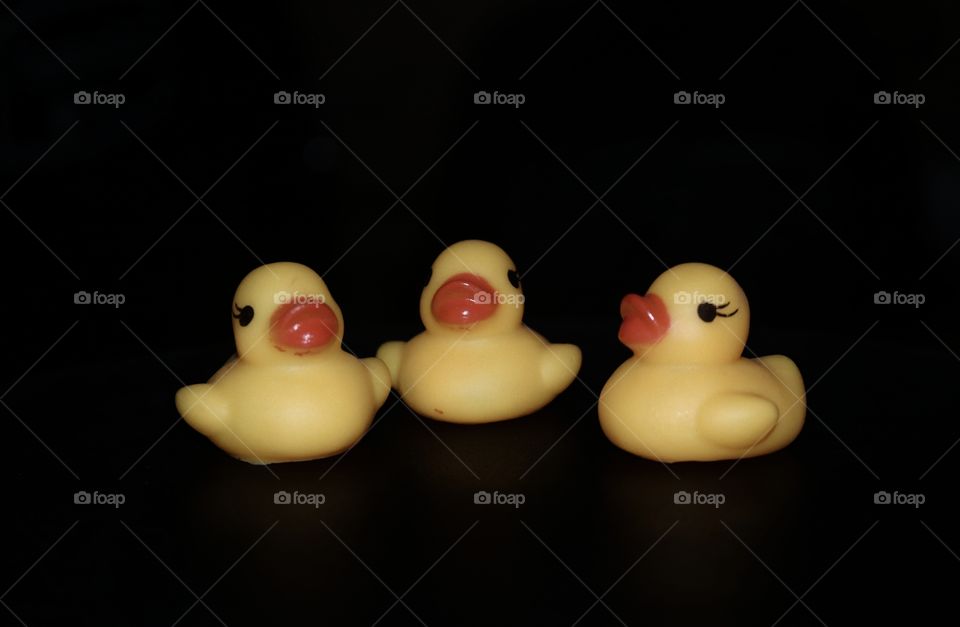 Three yellow ducks bathing friends on a black background
