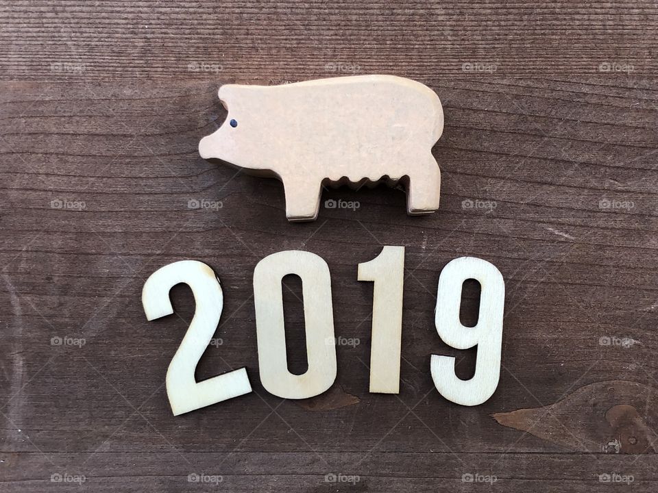 2019 Chinese New Year, Year of the pig