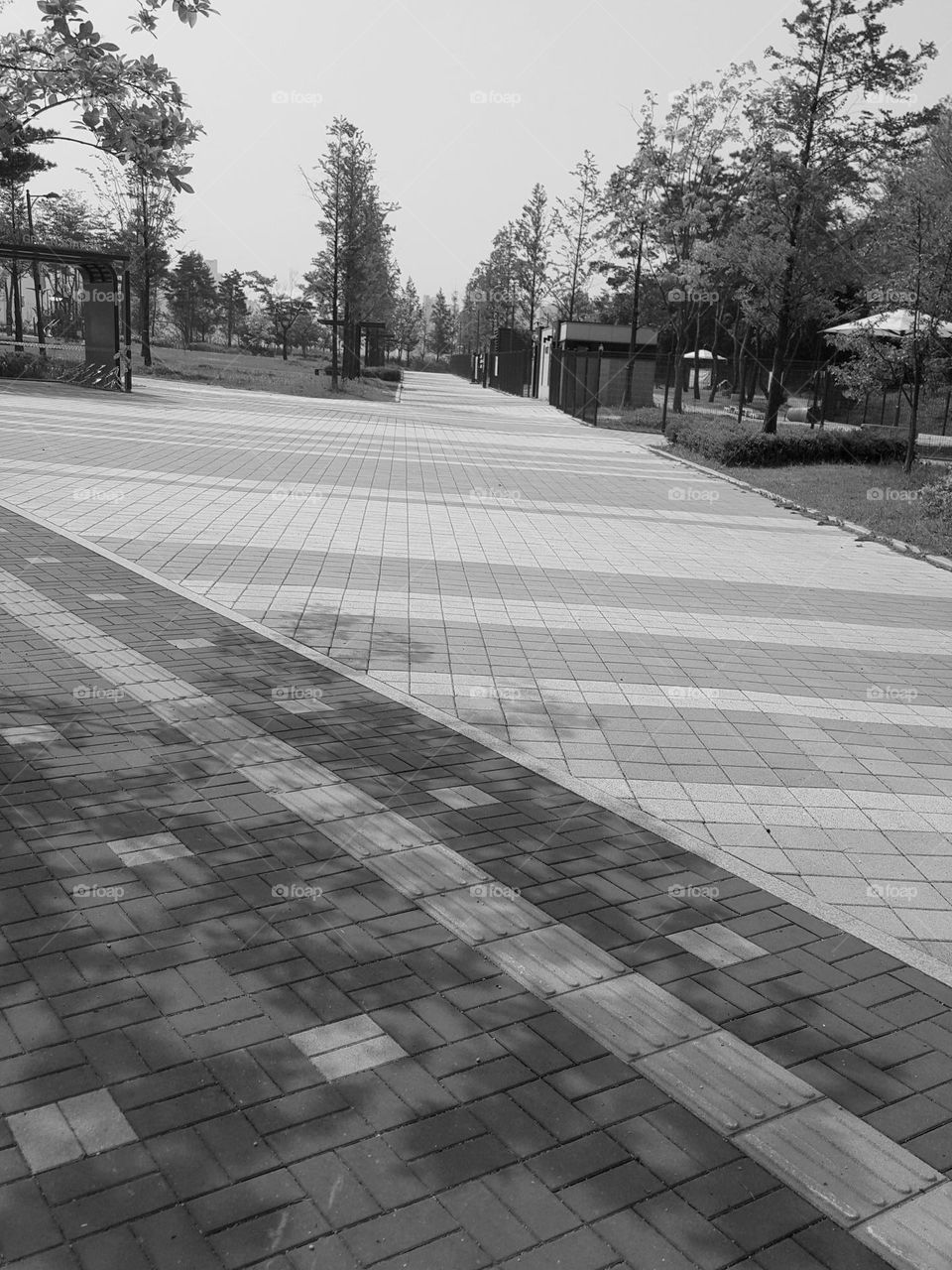 moments in black & white