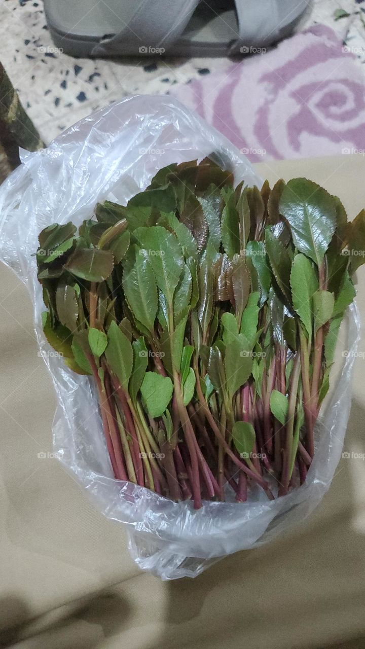 A very beautiful picture, and there is no better picture than it. There is no better picture of green herbs and colorful, red and white roses than it. Glory be to God, the natural and picturesque view, and there is no more