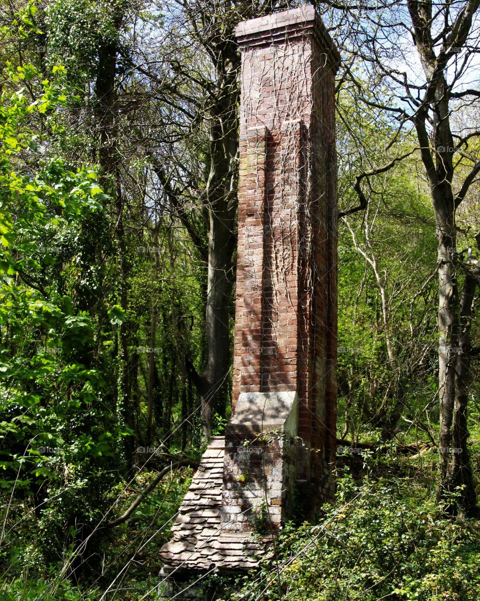 Pumping station remains found in dense woodland