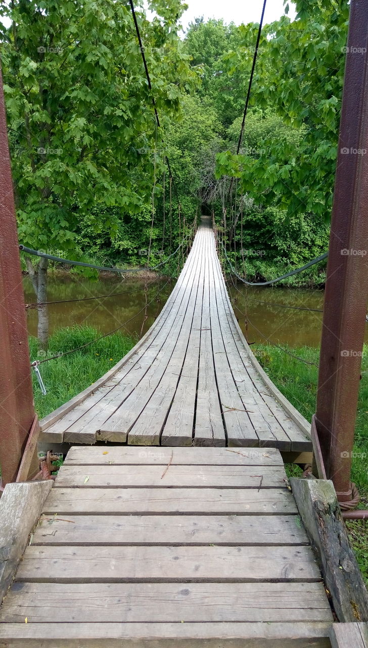 hanging bridge