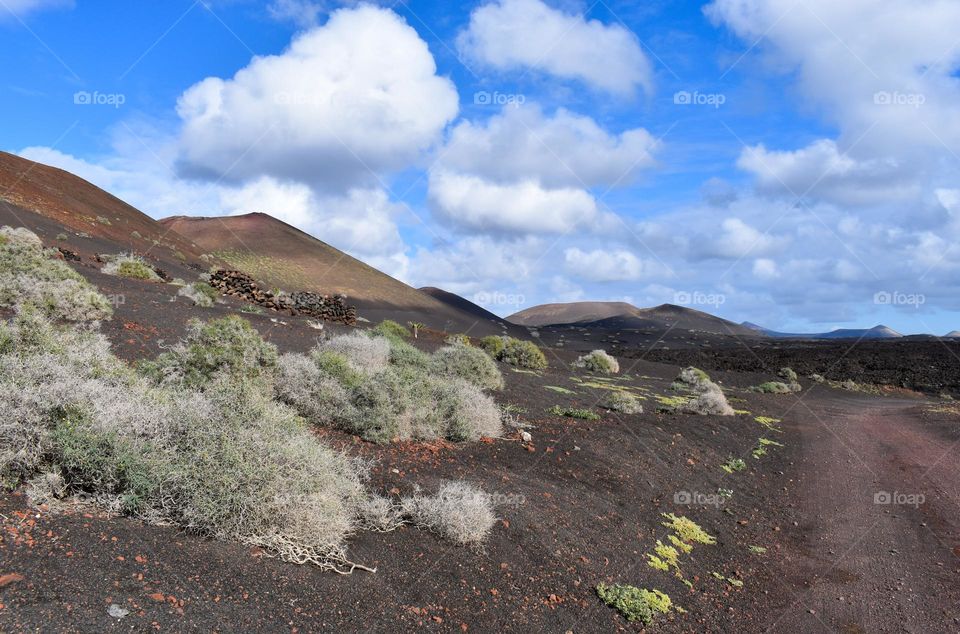 Volcanic Landscape