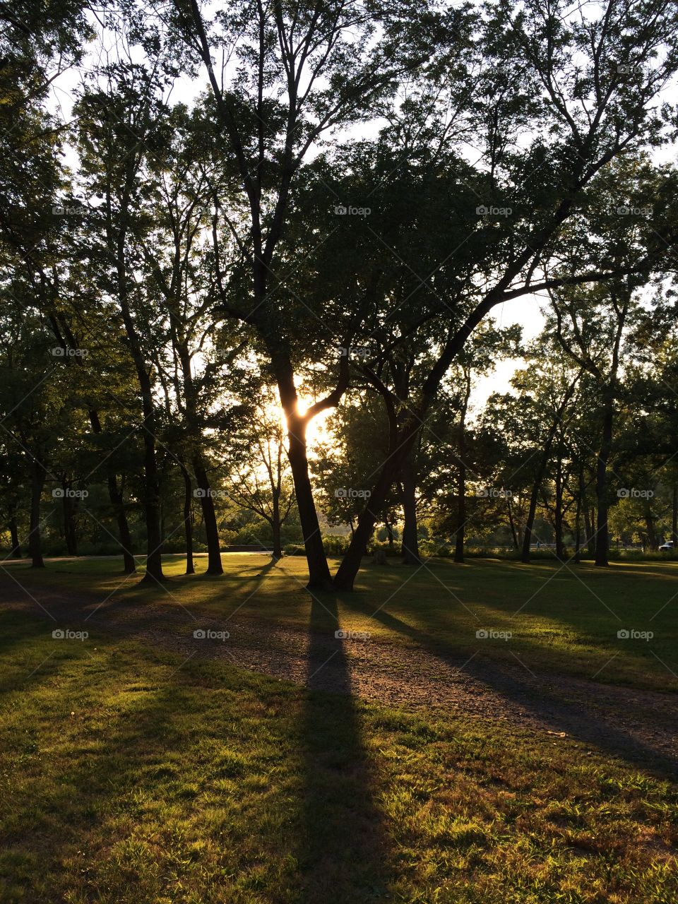 Park sunset