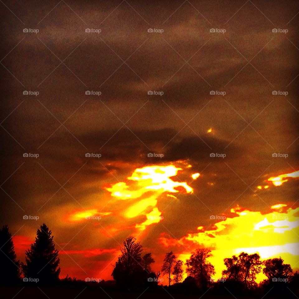 Blazing sky 