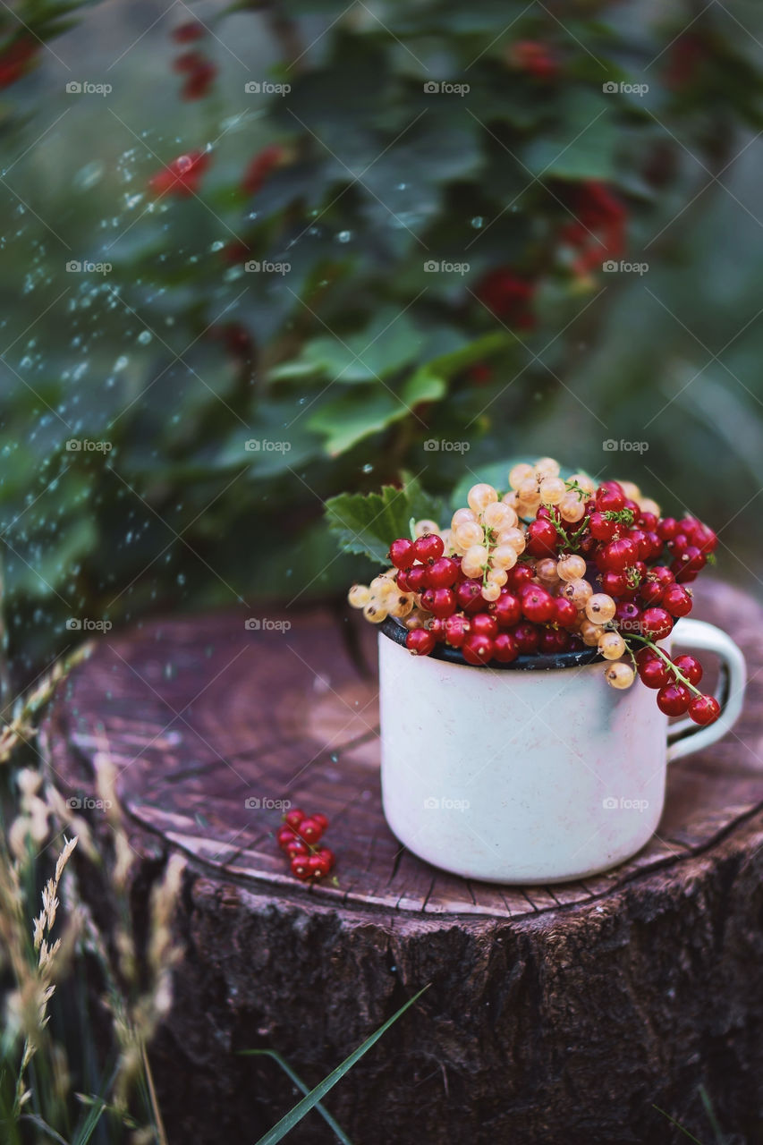 Red and white currant in a mug