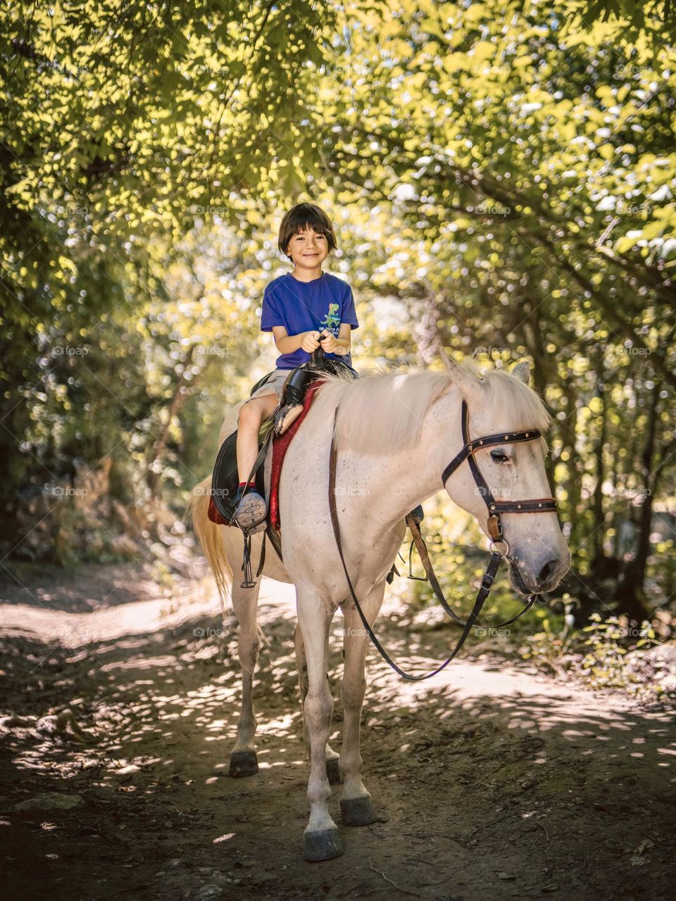 Boy on horse