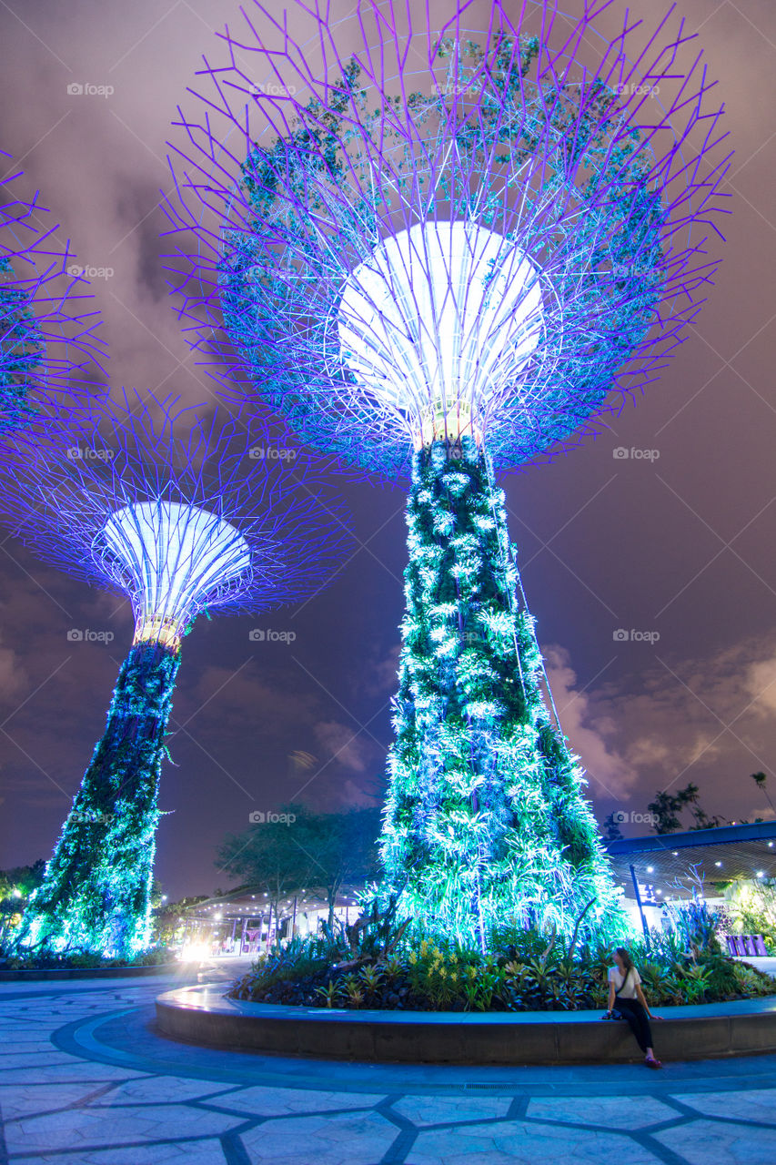 Gardens by the bay Singapore 