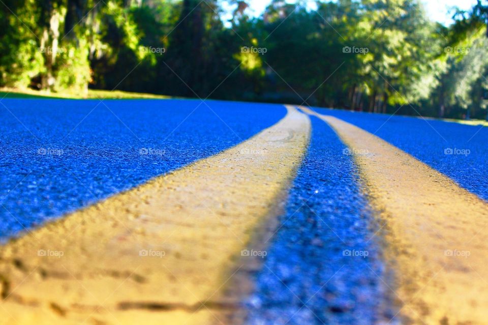 Yellow lines on the highway through the tree