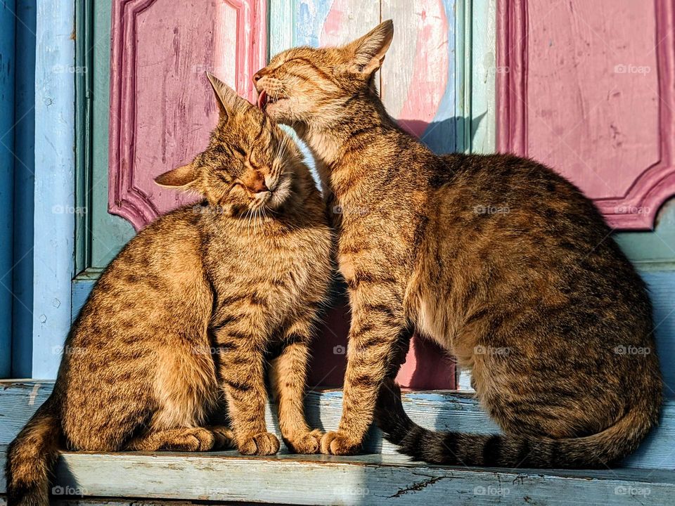 loving bond teach love