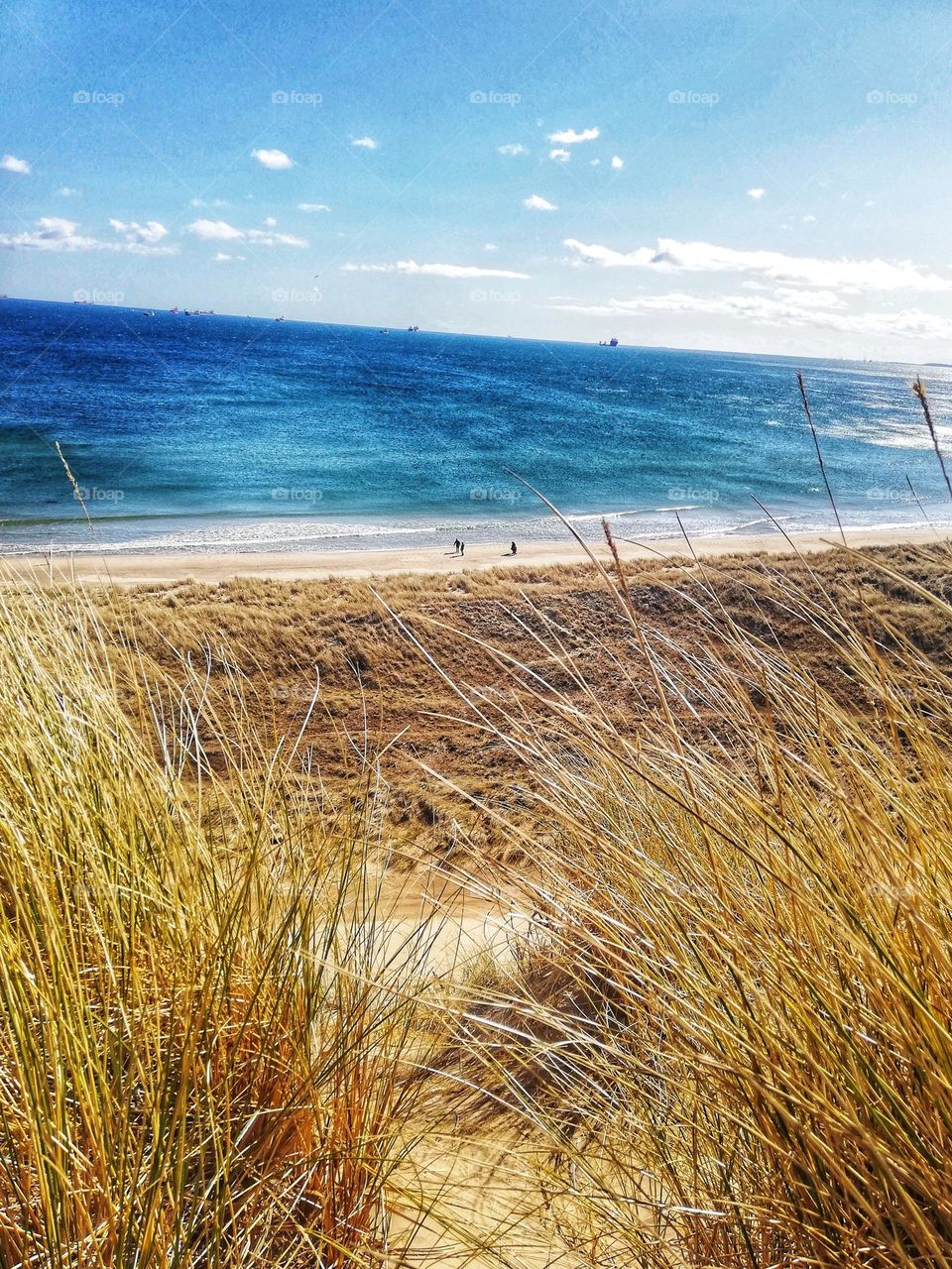 Dunes over the North Sea.