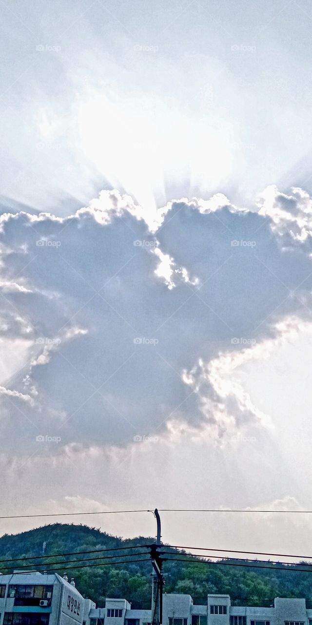 the sun was covered by a thick clouds which is formed like a ""Flying Dove"" the sun rays shining in every corner of its sides.