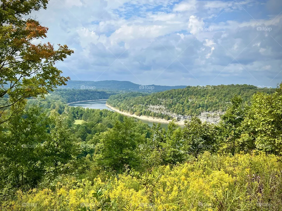 Beautiful water and woods of Kentucky in the USA