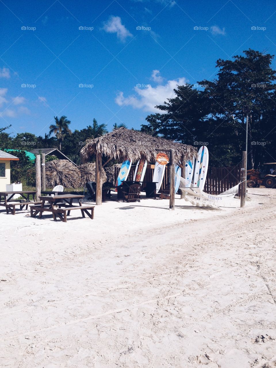 Eye Candy of the Tropics