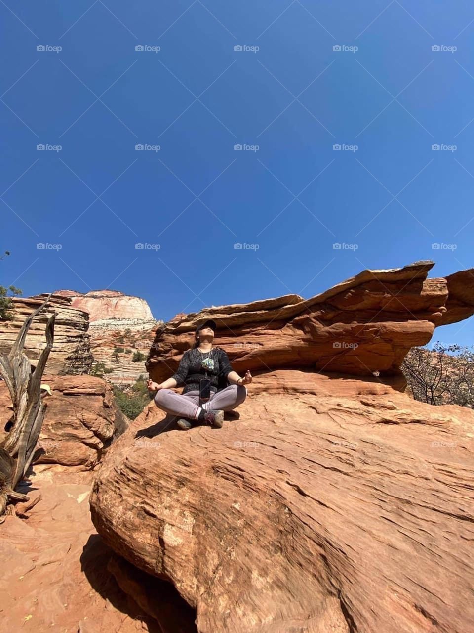 The Stillness Within 