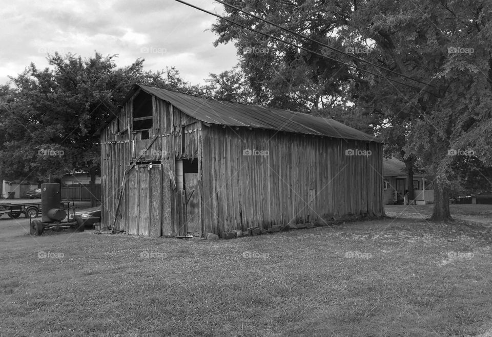 B/W old shack