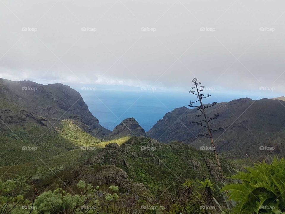 Mountains#forest#sea#view