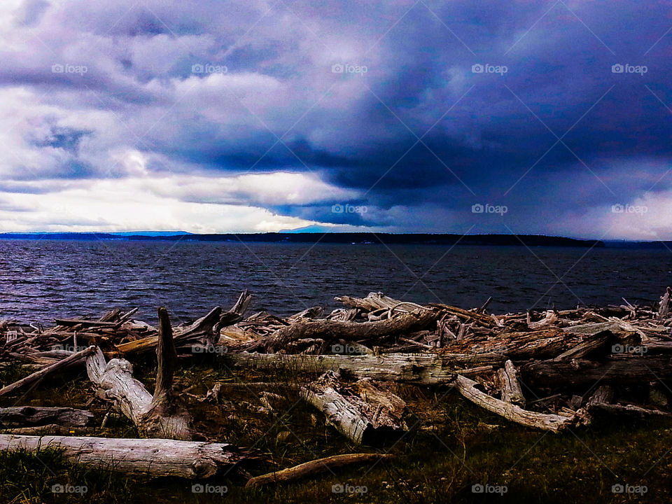 Storm clouds over driftwood anf beach