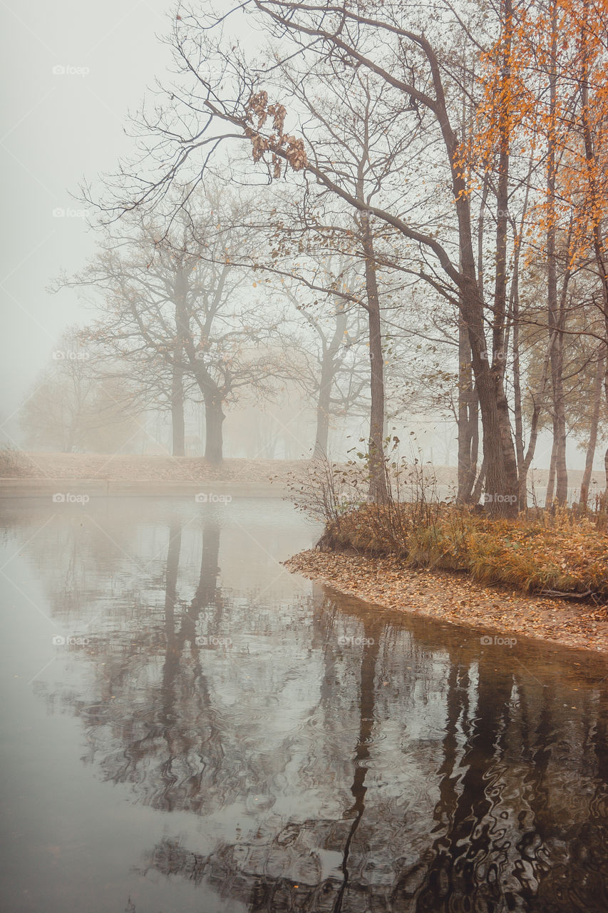 Misty landscape with pond in late autumn 