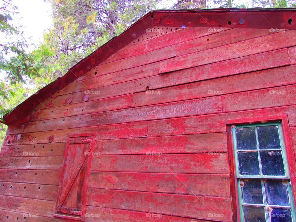Little Red Cabin