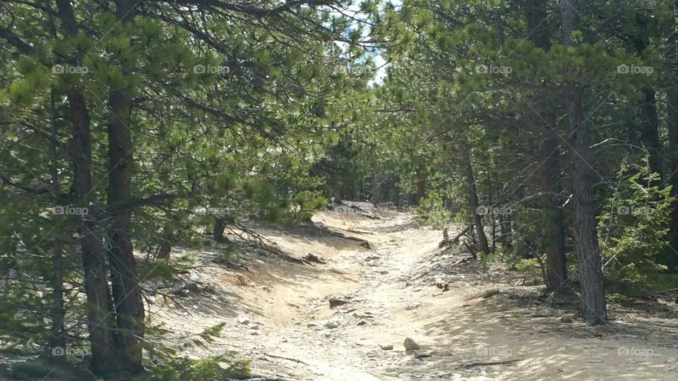 Nice trail