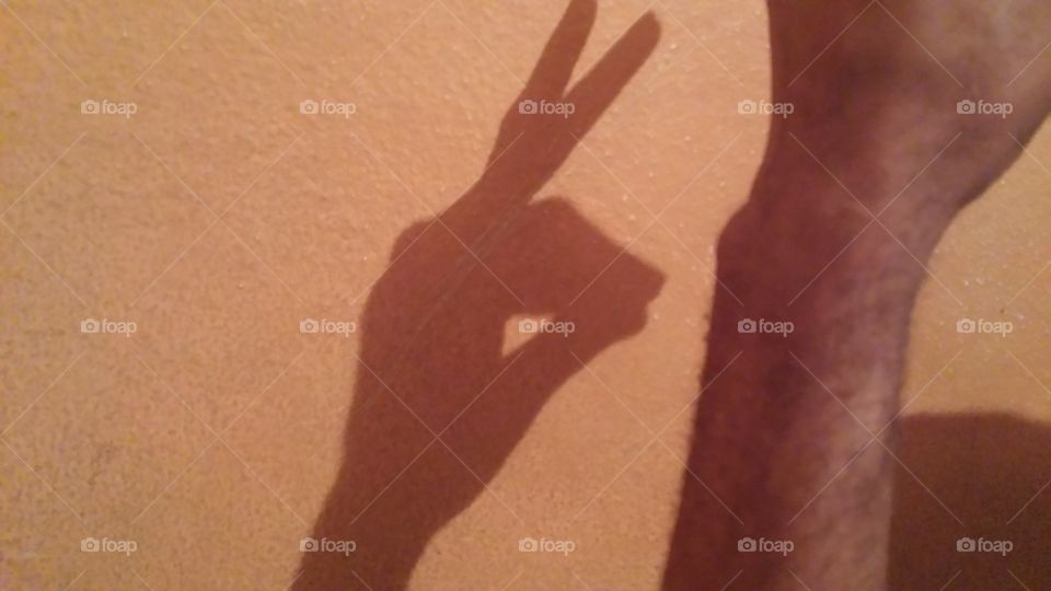 shadow rabbit