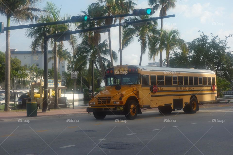 School bus - public transport