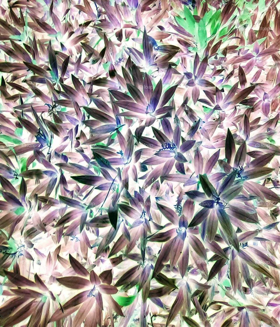 Kaleidoscope