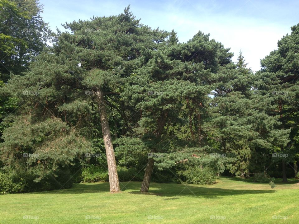 Palanga botanic garden landscape 