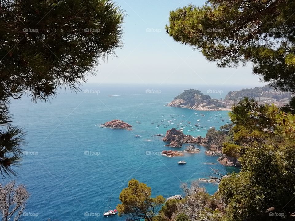Tossa de mar