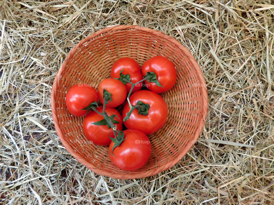 tomatoes