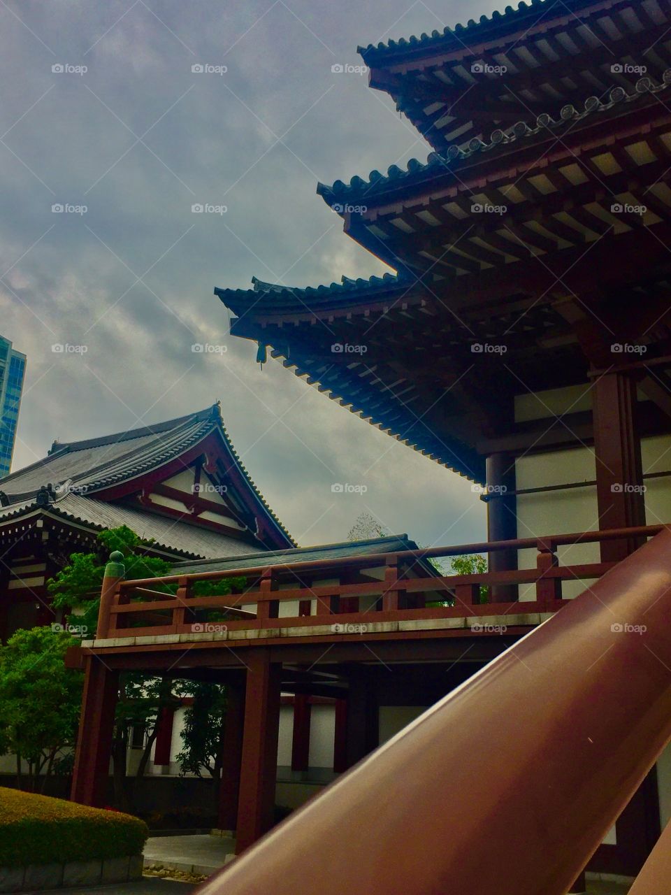 Many Roof Tops.  The Chief Temple of the Jodo. Tokyo, Japan